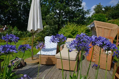 Garten aller Sinne - Bild 7