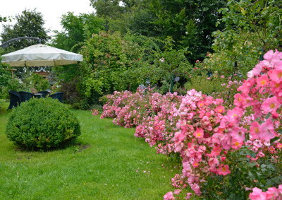 Garten aller Sinne - Bild 10